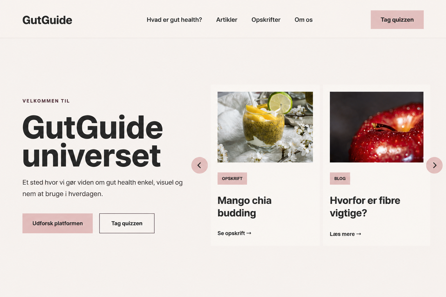 Forsiden af GutGuide-projektet